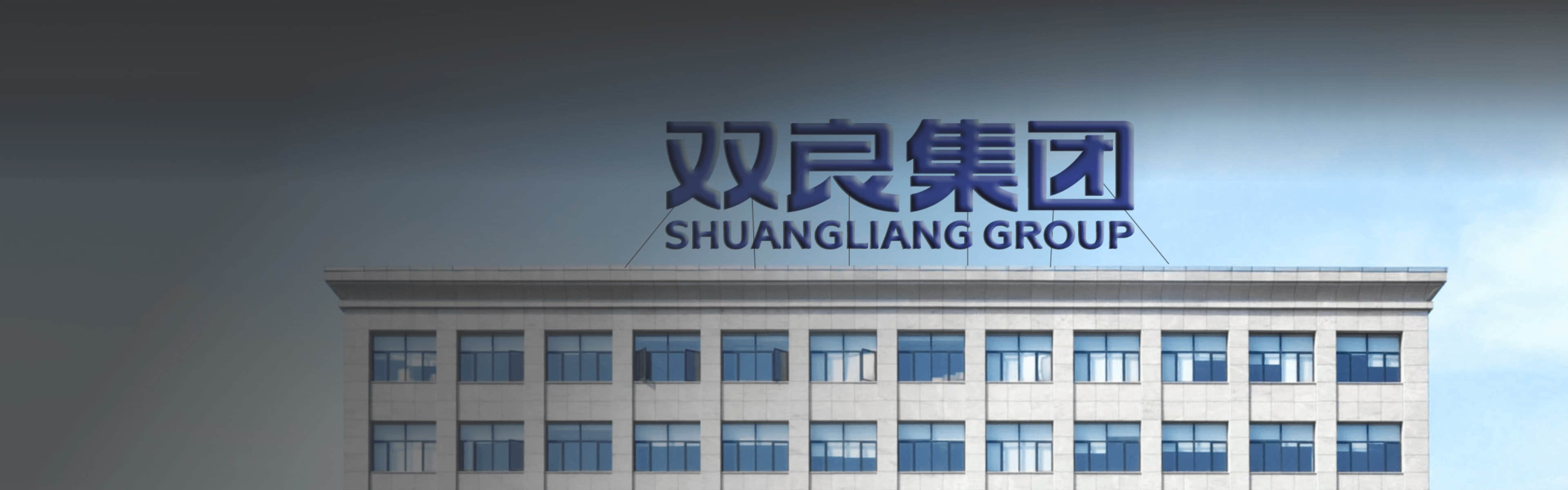 双良集团有限公司