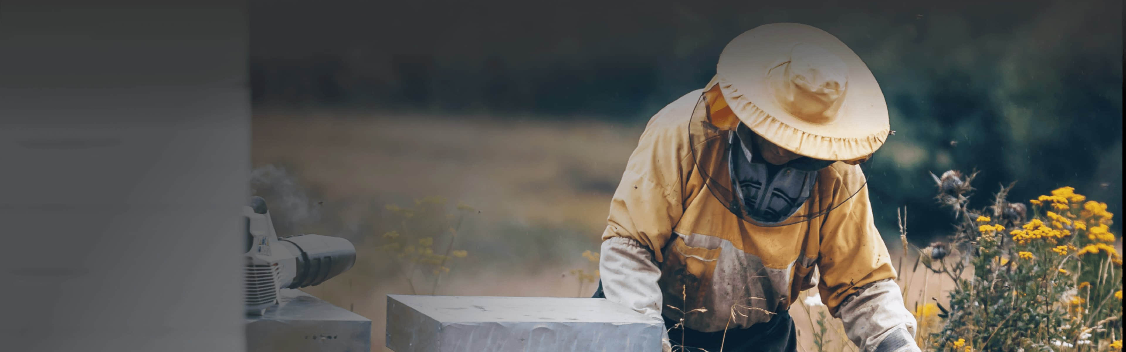 老蜂农生物科技集团有限公司